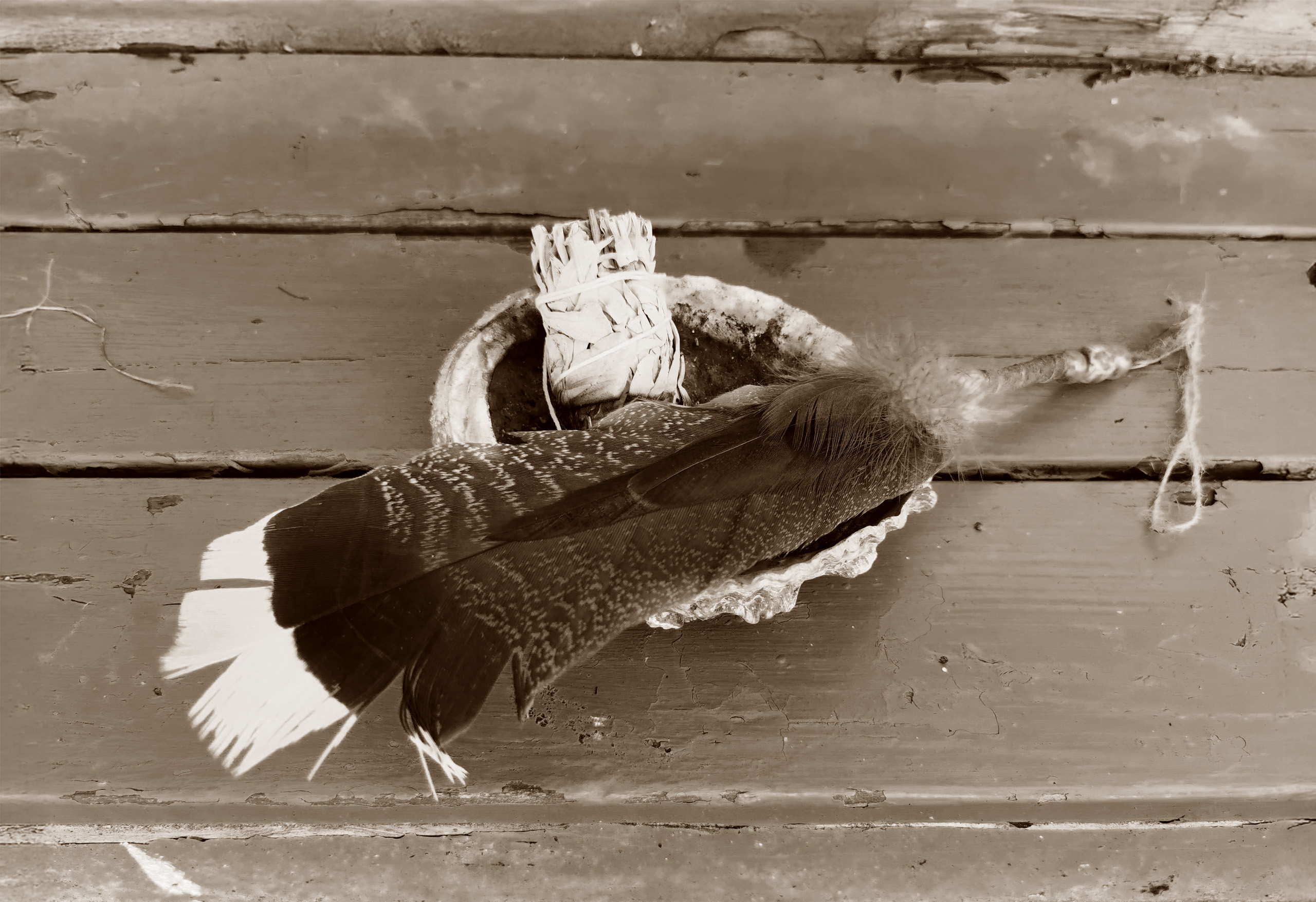 Feather sepia 2560x1754